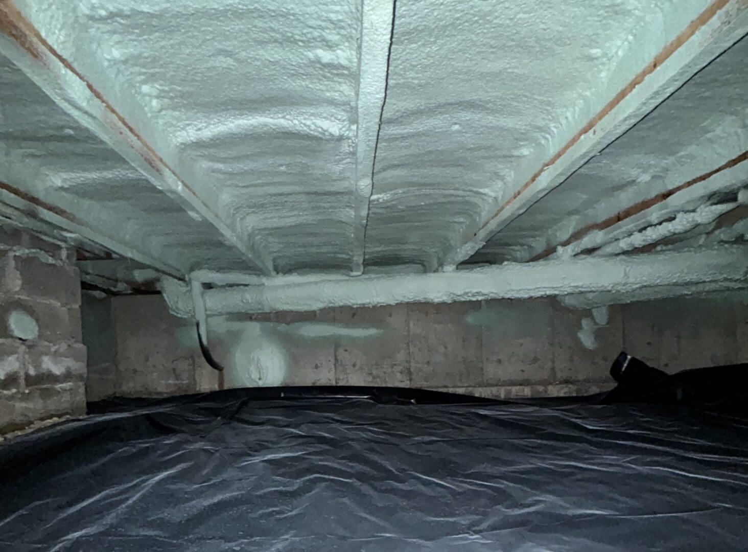 4cf54143-3434-4ed0-810c-545da465f929